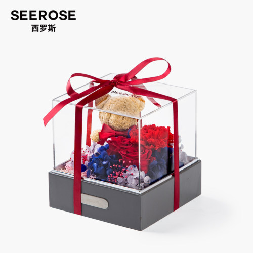 SEEROSE永生花康乃馨礼物送妈妈