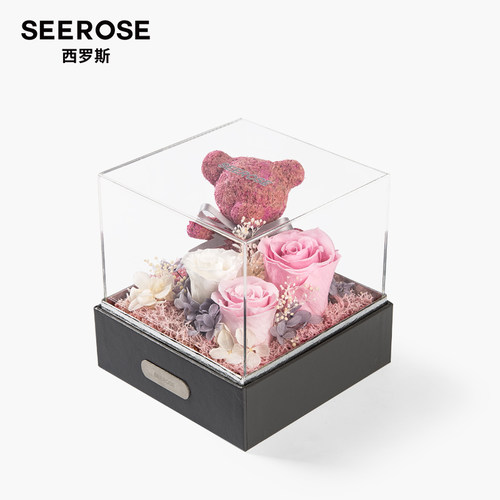 SEEROSE永生花苔藓玫瑰熊