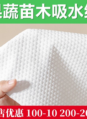 吸潮吸水纸水果蔬菜苗木樱桃葡萄千禧果草莓牛排肉鱼冰袋生鲜保鲜