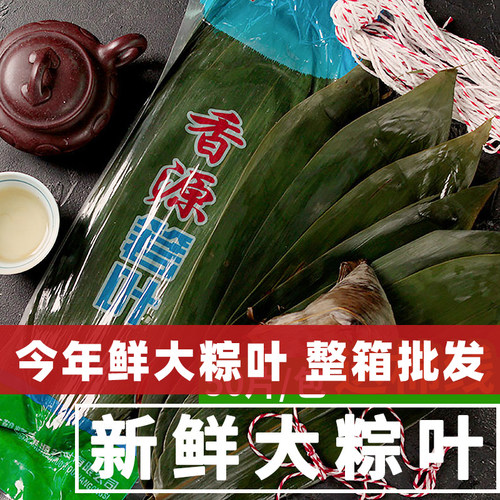 新鲜野生粽子叶箬竹叶大商用批发