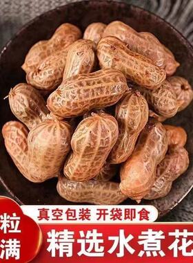 花生卤煮带壳即食五香卤汁花生饱满大颗粒烧烤下酒菜伴侣夜市