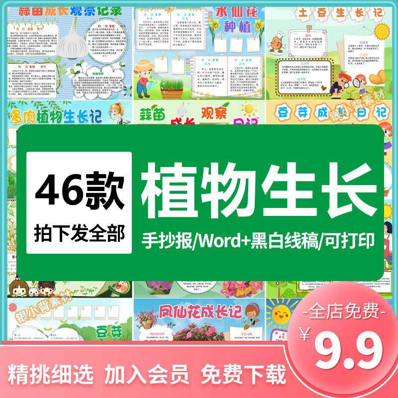 卡通植物生长手抄报word模板小学生小报素材黄豆芽观察日记电子版