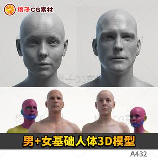 男女基础人体身体解剖3D模型源文件 zbrush zb次时代ztl obj fbx