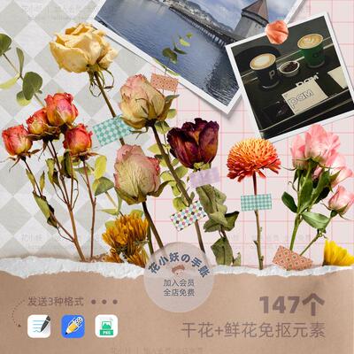 iPad电子手帐notability干花鲜花goodnotes免抠贴纸png笔记素材图