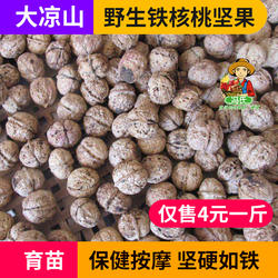 铁核桃 大凉山高山核桃 原始百年老树种 工艺把玩 食用均可 统货