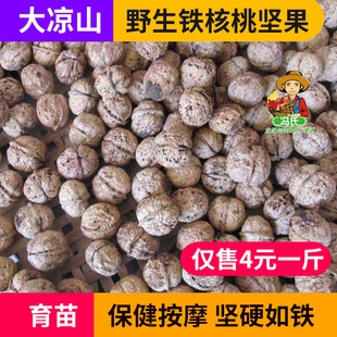 铁核桃 大凉山高山核桃 原始百年老树种 工艺把玩 食用均可 统货