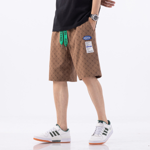 2023年男青年夏季新款大码五分裤加大加肥沙滩裤XZ712-5-K308-P35图片