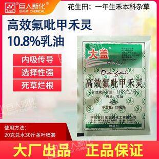 108克/升高效氟吡甲禾灵一年生禾本科杂草芦苇除草剂川东大盖