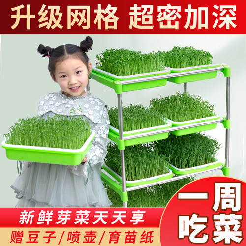 豆芽发芽水培蔬菜设备无土栽培