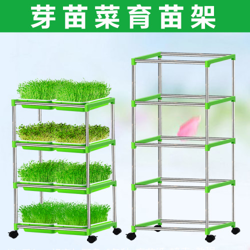 育苗架豆芽菜种植架蔬菜设备专用