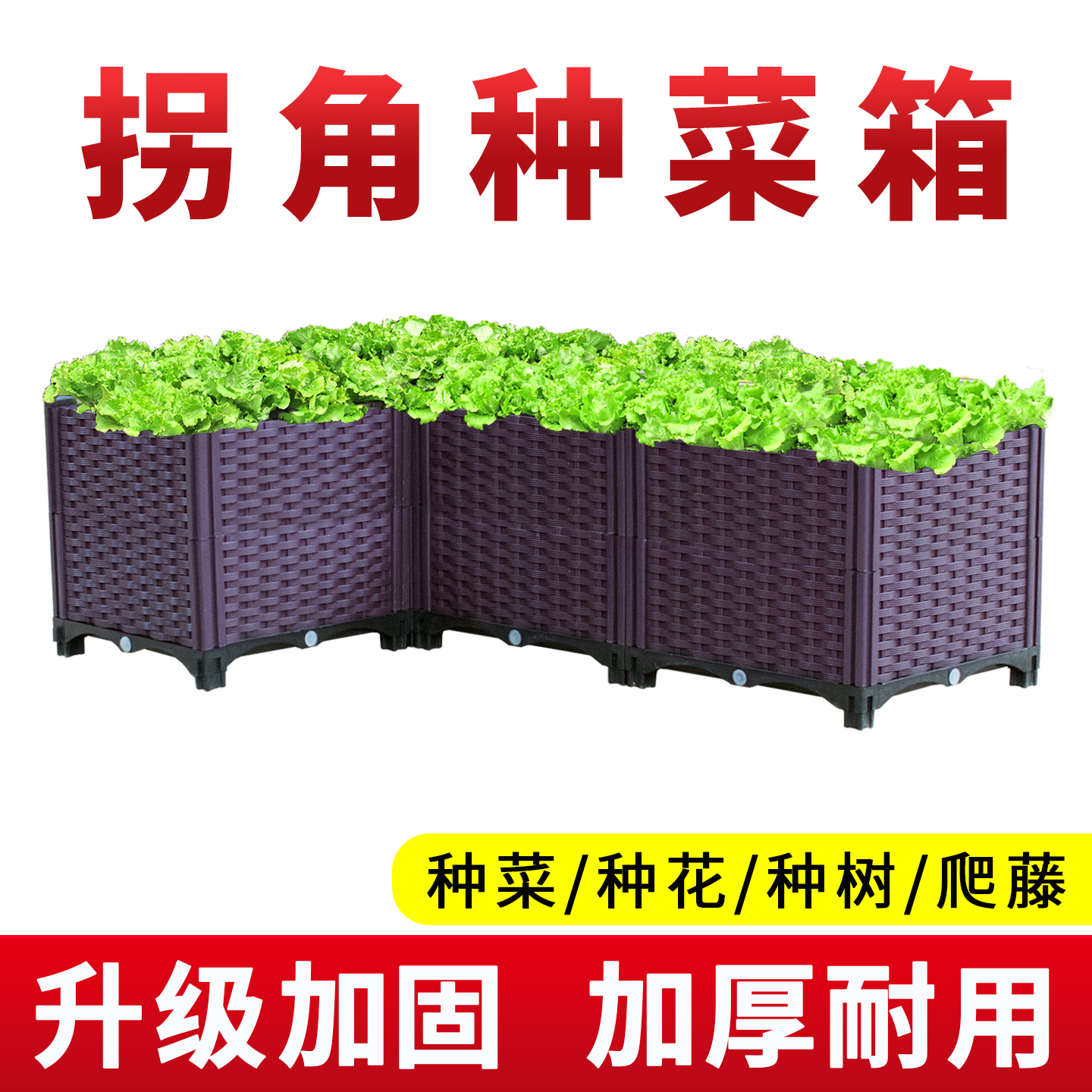 种菜专用箱阳台种植箱