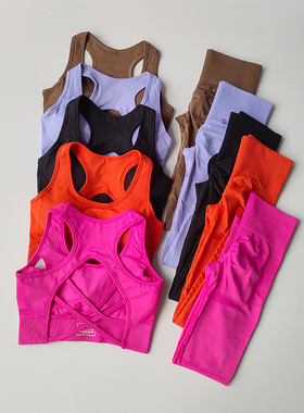 欧美防震运动内衣女专业健身美背文胸速干跑步高腰瑜伽服两件套装