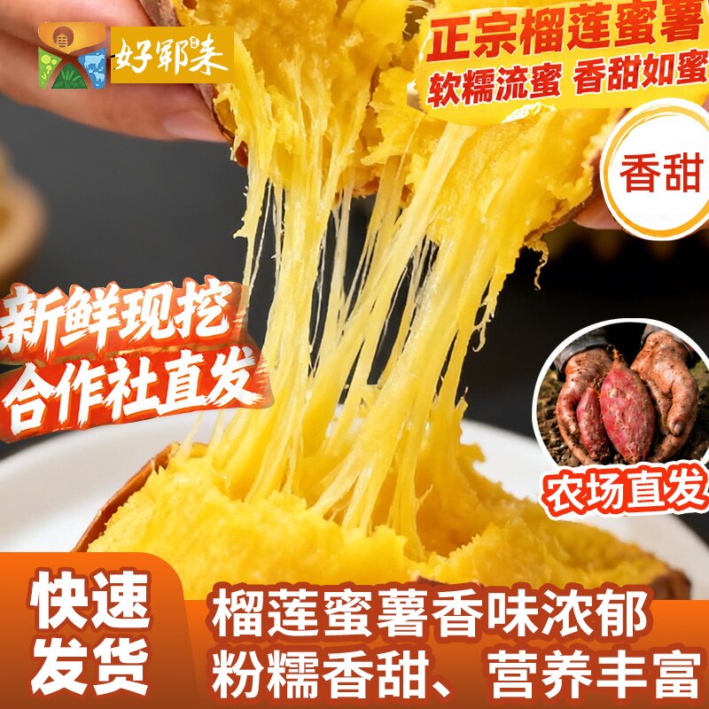 【软糯香甜】山东正宗榴莲蜜薯黄心红薯烤地瓜新鲜健康粗粮番薯