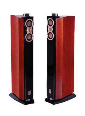 爱浪DX-2家庭影院音箱套装主音箱HIFI音响木质古典影院