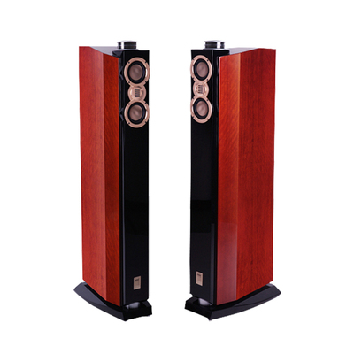 爱浪DX-2家庭影院音箱套装主音箱HIFI音响木质古典影院