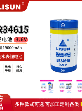 LISUN力兴ER34615智能水表燃气表流量计物联网1号D型3.6V锂电池组