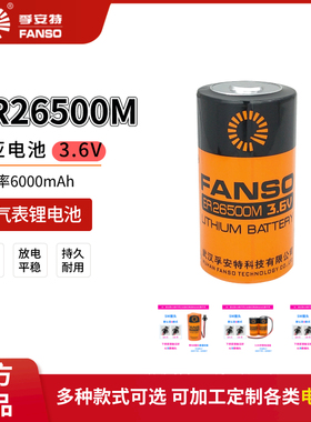 FANSO孚安特ER26500M锂电池3.6V适用智能水表燃气表流量计替LSH14