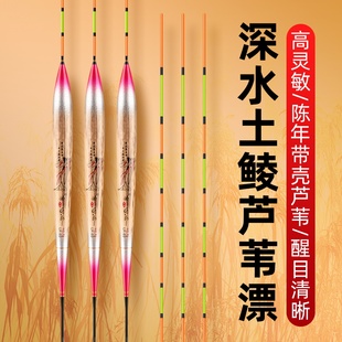 正品手工带壳芦苇浮漂加粗醒目高灵敏轻口土鲮鱼漂野钓黑坑鲤鱼漂