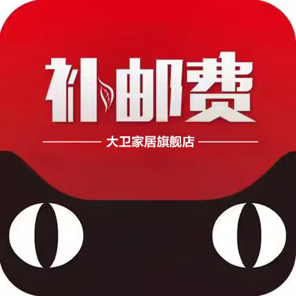 大卫【终身 领拖布，胶棉头】替换装