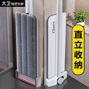 大卫平板拖把家用一拖干湿两用拖布拖地神器懒人免手洗2026新款 净