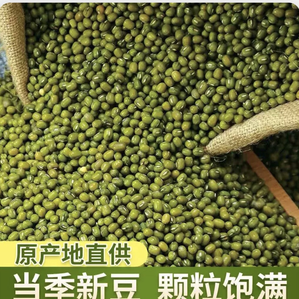 东北农家小绿豆新货500克可做绿豆糕绿豆汤发豆芽消暑易煮五谷杂