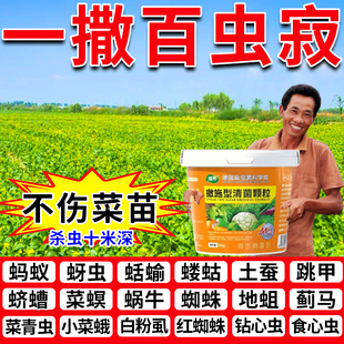 土壤除虫专用撒施型清菌颗粒肥料虫卵双杀蔬菜瓜果菜地通用清菌剂