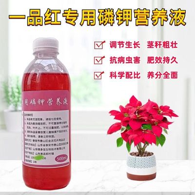 一品红磷钾营养液复合水溶花肥料