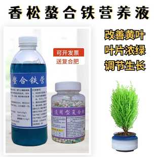 香松甘松专用螯合铁营养液体家室内小盆栽水培植物花肥料叶片发黄