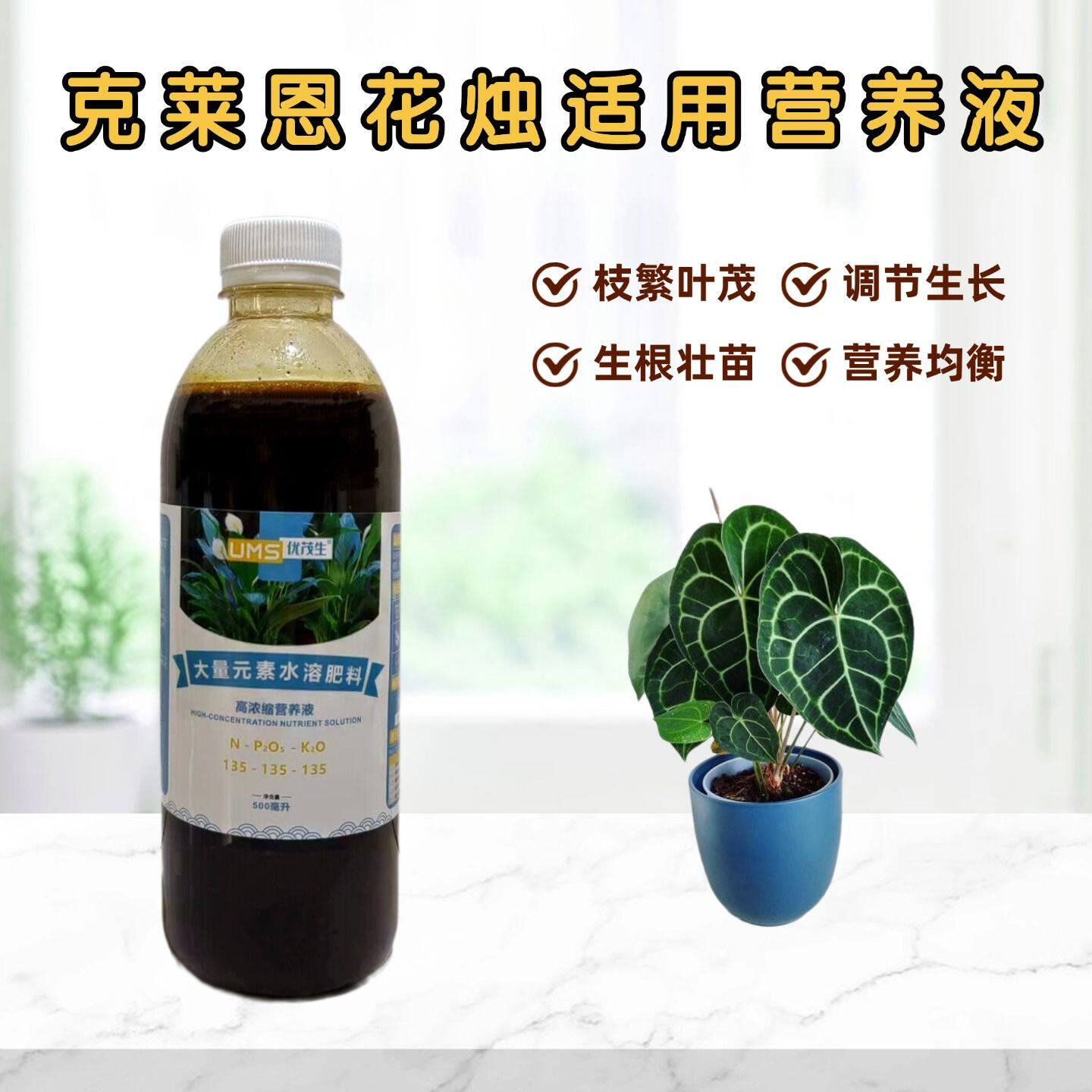 克莱恩花烛浓缩营养液花卉肥料图片