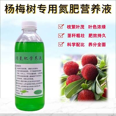 杨梅树氮肥营养液水溶果树肥料