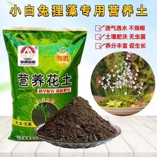 小白兔狸藻专用营养土室内盆栽食虫植物翻换通用型有机种植土透气