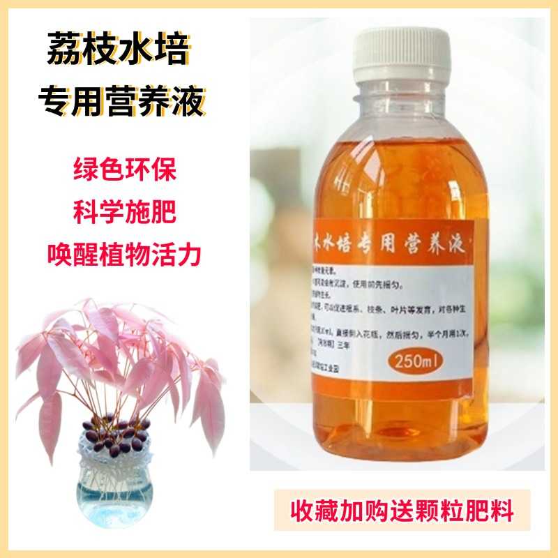 荔枝水培营养液妃子笑桂味果核室内粉色盆栽绿植物专用水溶花肥料