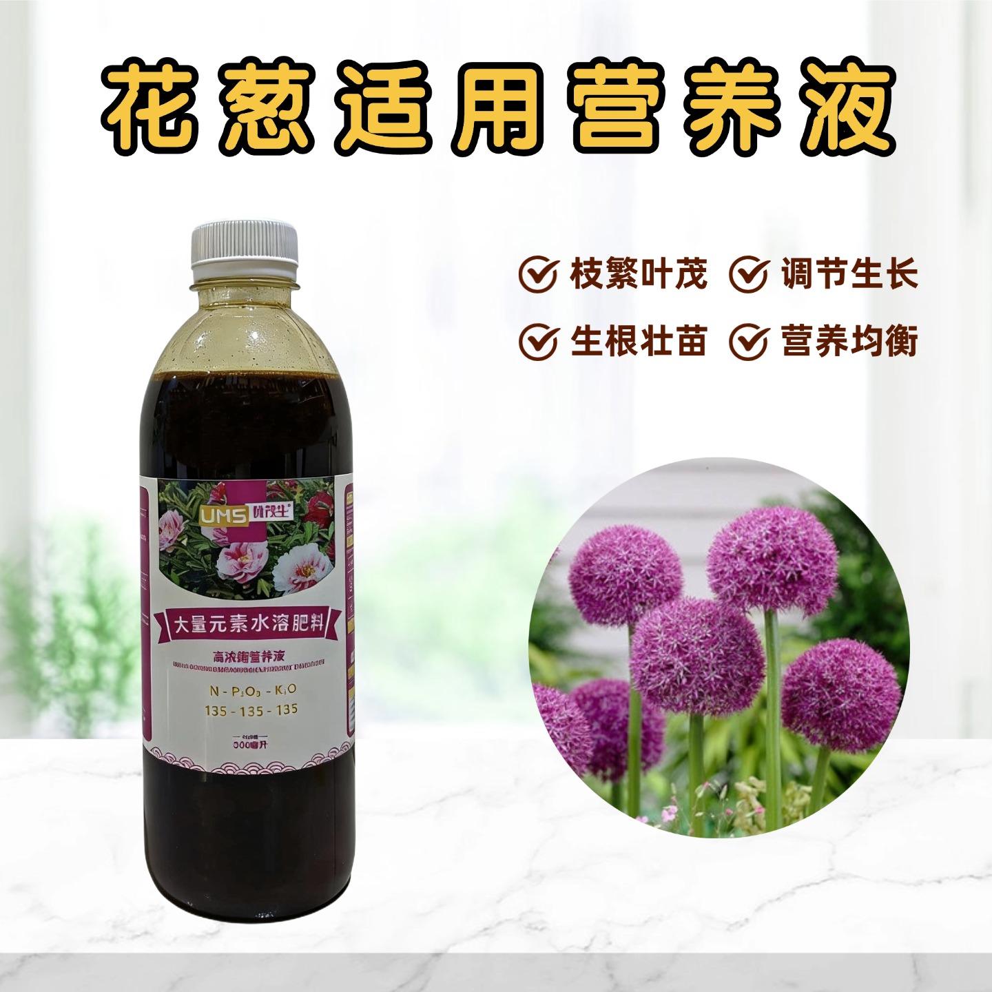 花葱营养液室内千禧年大小花盆栽地栽绿植专用大量元素水溶花肥料图片