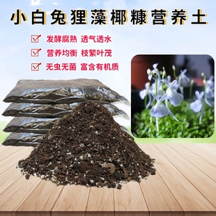 小白兔狸藻专用椰砖土室内盆栽食虫植物育苗通用型有机种植土透气