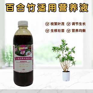 金心细叶金边百合竹浓缩营养液盆栽绿植物专用大量元素水溶花肥料