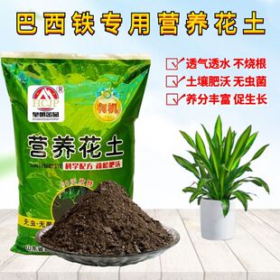 巴西铁香血龙树专用营养花土室内盆栽植物翻换育苗有机种植土透气