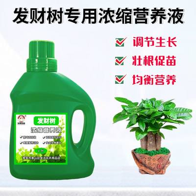 发财树浓缩营养液水培水溶花肥料