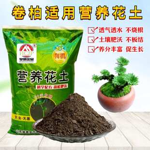 卷柏九死还魂草营养花土室内庭院盆景栽绿植物专用育苗种植土透气