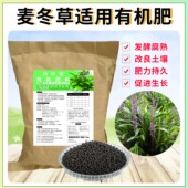 日本矮麦冬草有机肥料金边金叶玉龙草庭院草坪植物专用发酵营养肥