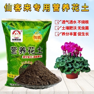 仙客来仙鹤来专用营养花土室内盆栽兔耳花绿植翻换育苗种植土透气