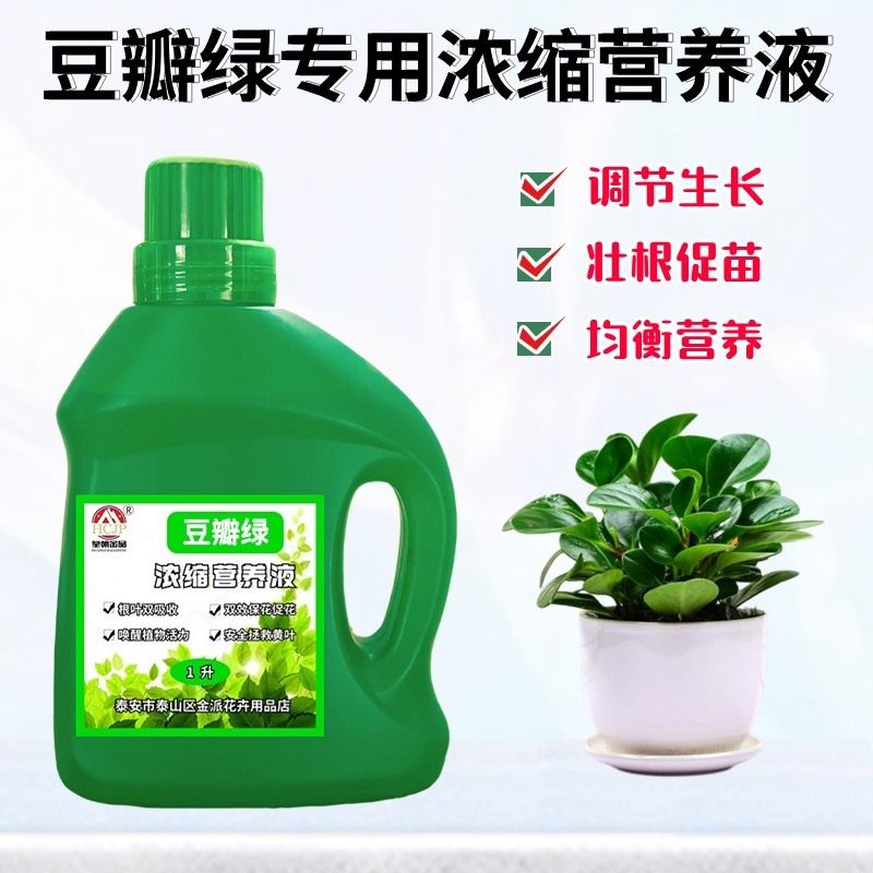 碧玉豆瓣绿专用浓缩营养液室内盆栽绿植物黄叶氮磷钾水溶养花肥料,鲜花速递/花卉仿真/绿植园艺,家庭园艺肥料,淘宝优惠券,粉丝福利购,淘宝优惠卷