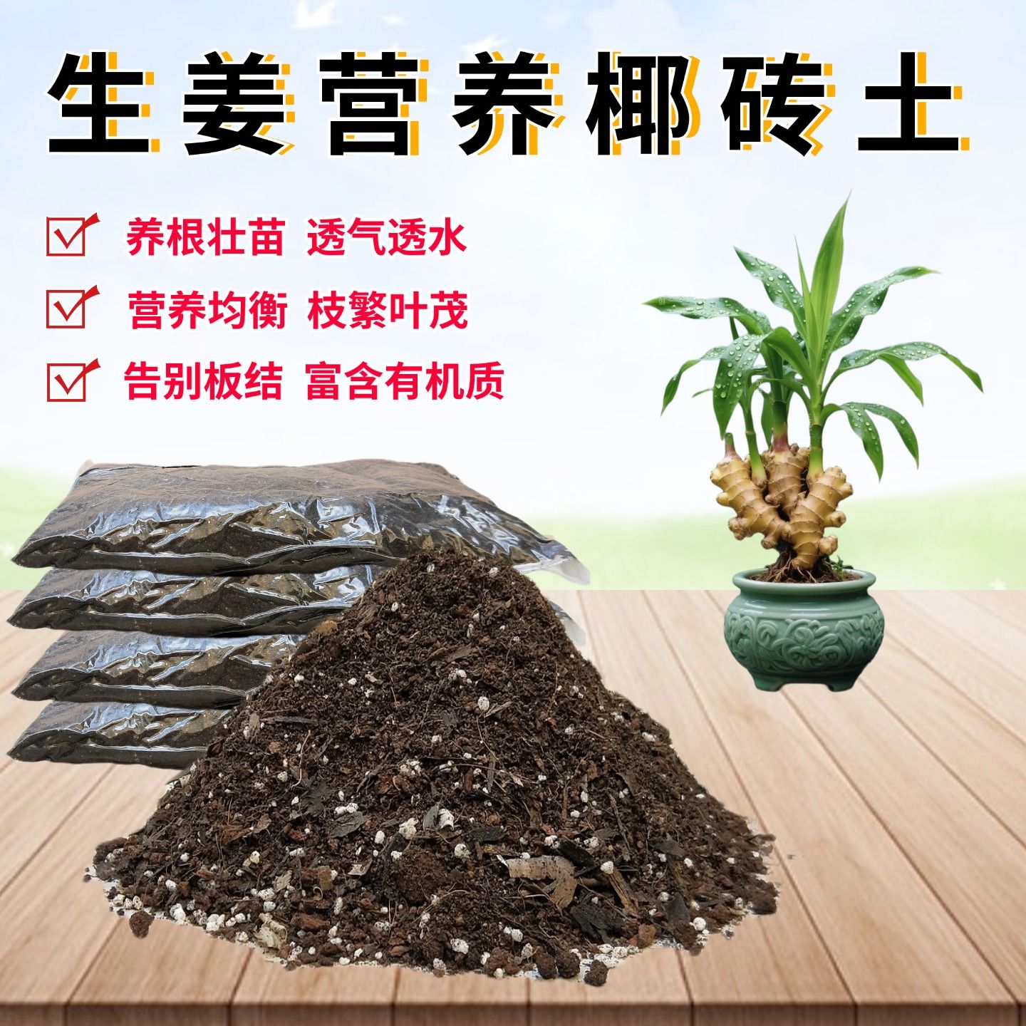 生姜营养椰砖土种植土透气