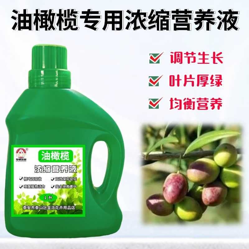 油橄榄浓缩营养液树苗肥料