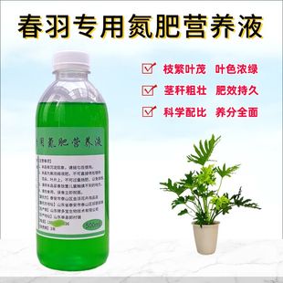 龙鳞春羽小天使专用氮肥营养液室内盆栽绿植物叶黄浓缩水溶花肥料