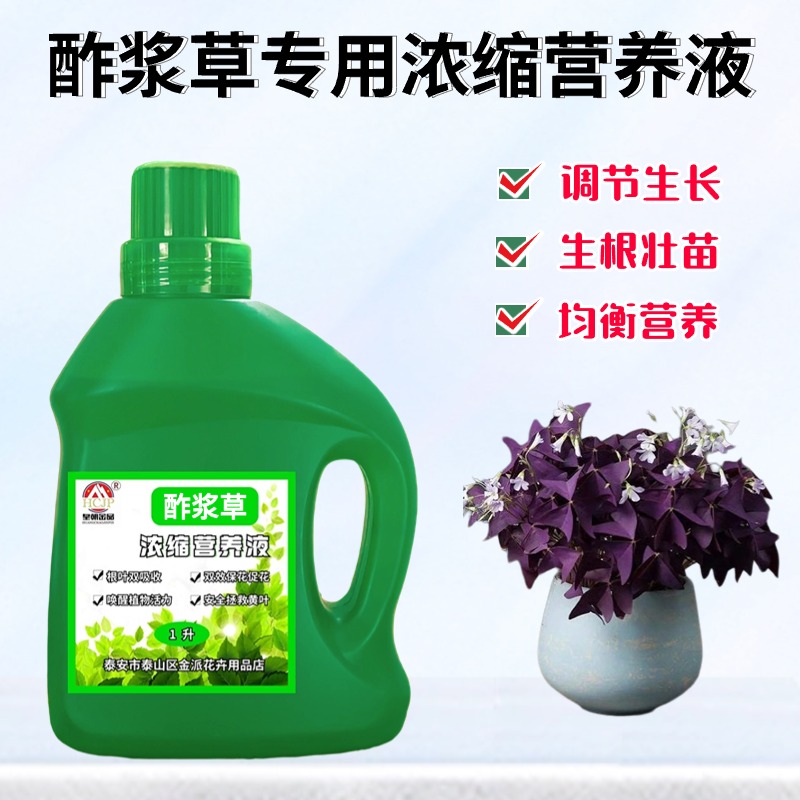酢浆草浓缩营养液养花卉肥料