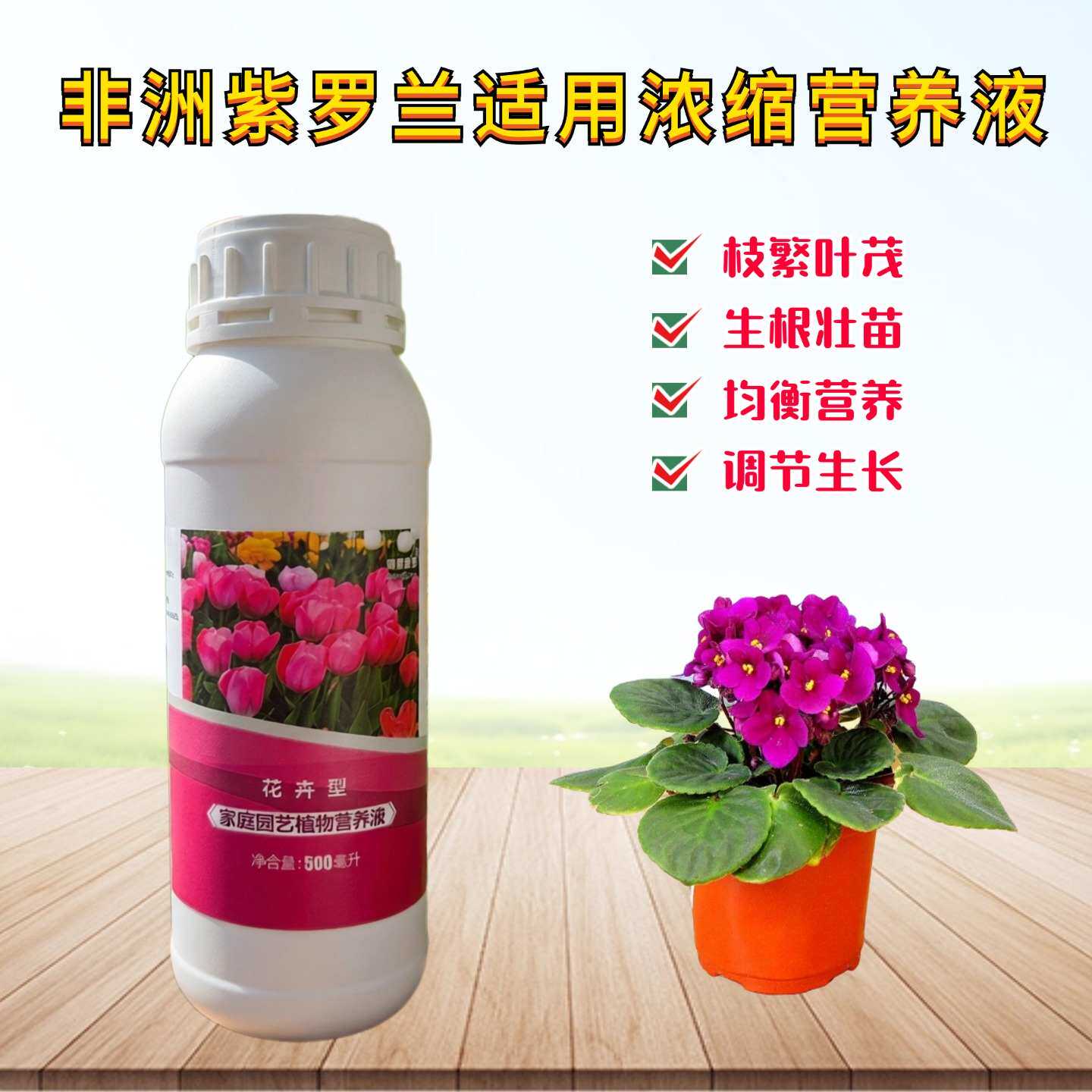 非洲紫罗兰浓缩营养液室内阳台庭院盆栽绿植物氮磷钾水溶花卉肥料