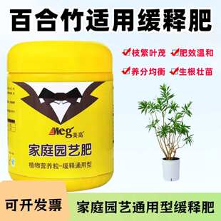 金心细叶金边百合竹缓释肥庭院盆栽植物专用氮磷钾复合花通用肥料