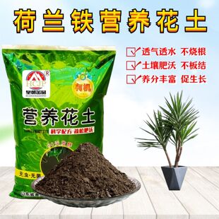 荷兰铁巨丝兰营养花土室内家大型盆景栽绿植物专用种植土疏松透气