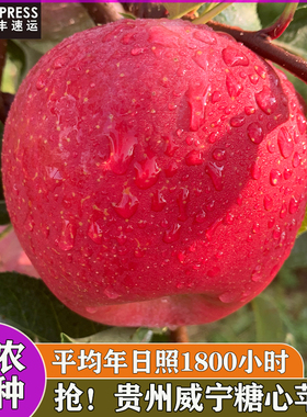 2025新苹果贵州威宁糖心苹果清新甘甜热情味道自然選擇鲜果速递