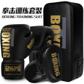 成人拳击手套搏击散打训练儿童进阶拳套组合拳击靶跆拳道脚靶踢靶